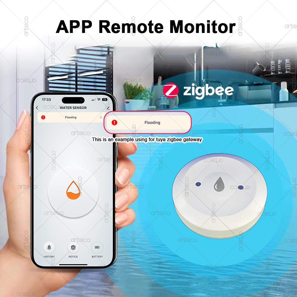 Smart Zigbee Water Sensor Floo – Smart Home Gateway recenzja i cena