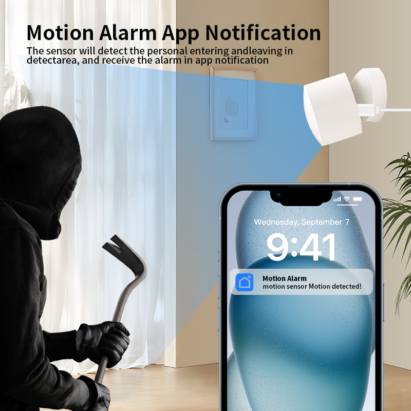 Zigbee or Wi-Fi Human Presence – Smart Home Monitoring recenzja i cena