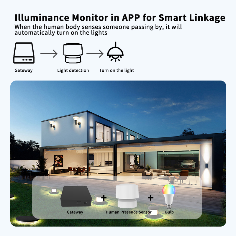 Zigbee or Wi-Fi Human Presence – Smart Home Monitoring recenzja i cena