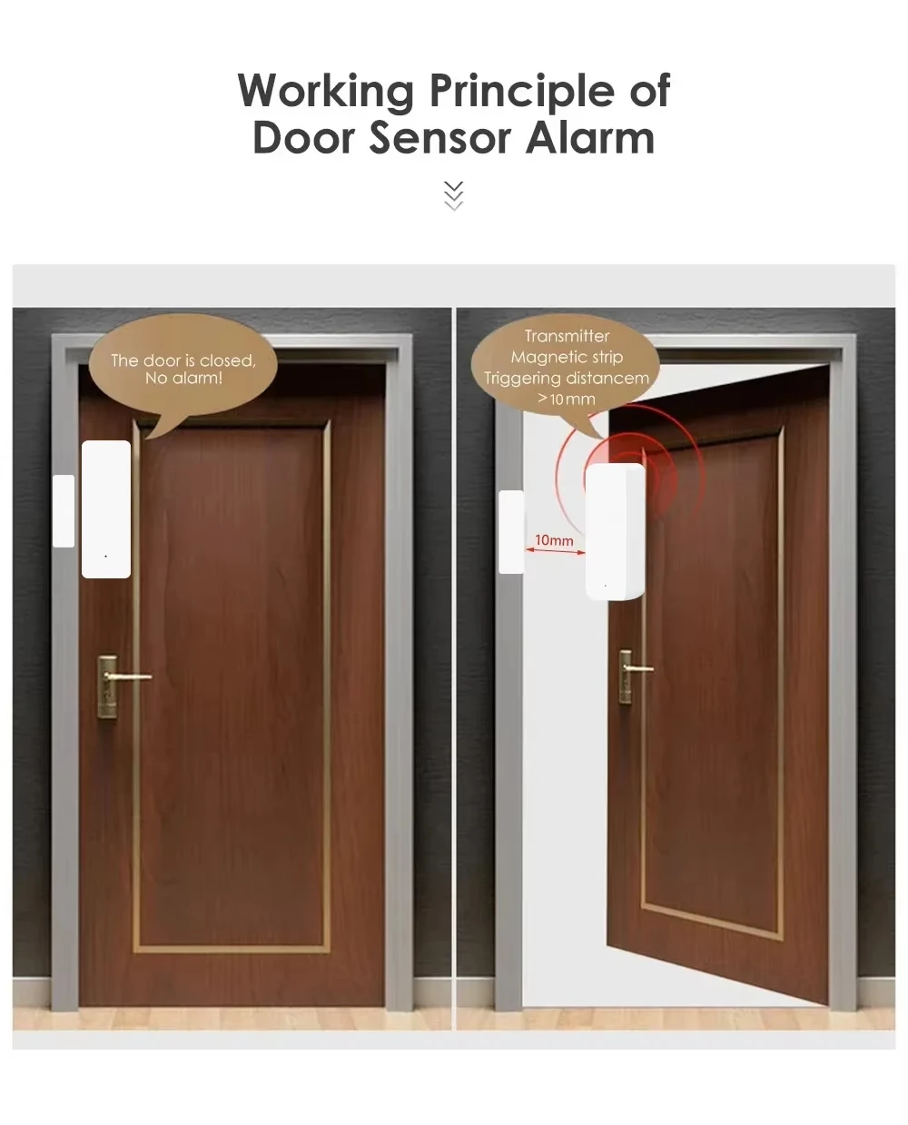 Tuya Zigbee/WiFi Magnetic Door – Smart Home Gateway recenzja i cena